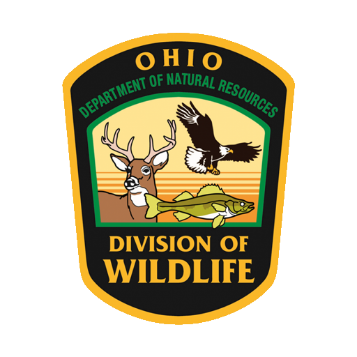 Ohio Fishing License